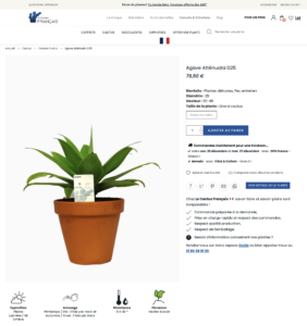 Le Cactus Français