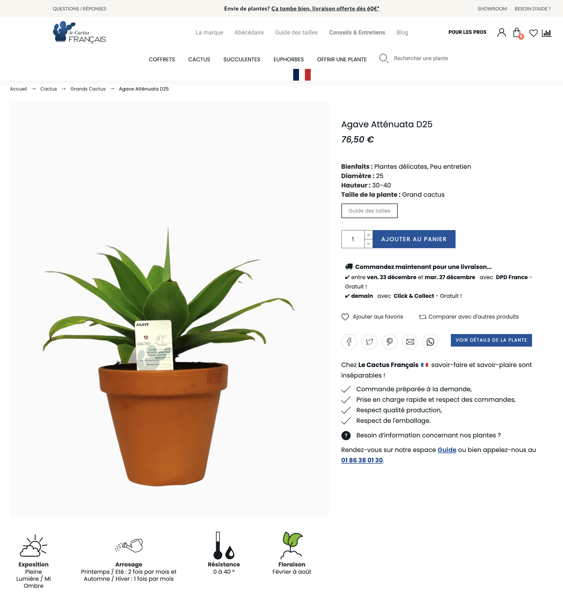 Le-Cactus-Français-création-page-produit-Ginseng-Web.png